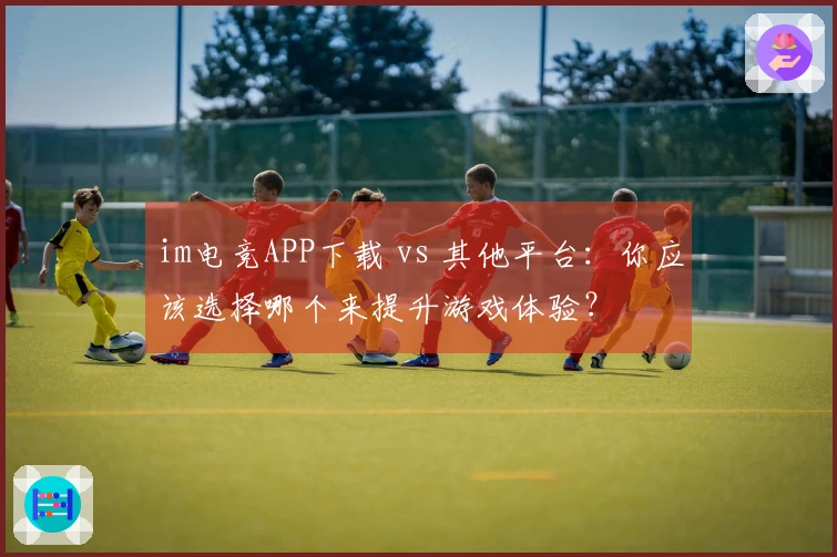 im电竞APP下载 vs 其他平台：你应该选择哪个来提升游戏体验？