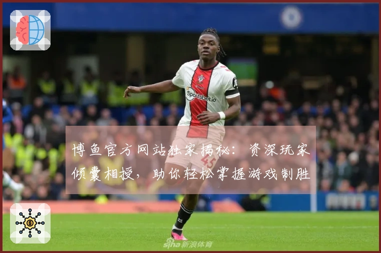 博鱼官方网站独家揭秘：资深玩家倾囊相授，助你轻松掌握游戏制胜新绝技！