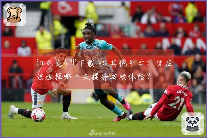 im电竞APP下载 vs 其他平台：你应该选择哪个来提升游戏体验？