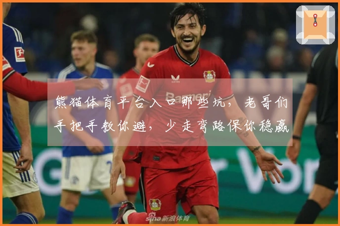 熊猫体育平台入口那些坑，老哥们手把手教你避，少走弯路保你稳赢！