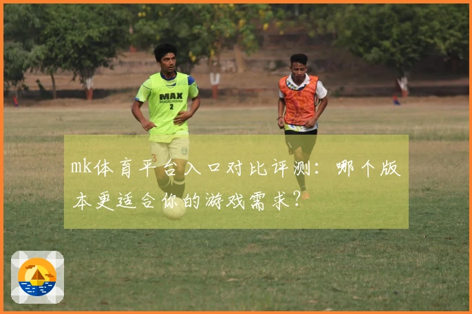 mk体育平台入口对比评测：哪个版本更适合你的游戏需求？