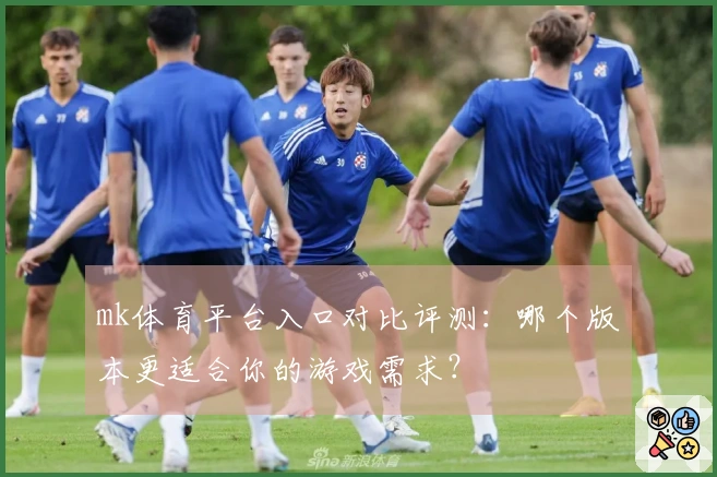 mk体育平台入口对比评测：哪个版本更适合你的游戏需求？