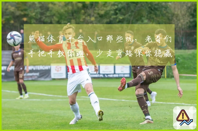 熊猫体育平台入口那些坑，老哥们手把手教你避，少走弯路保你稳赢！